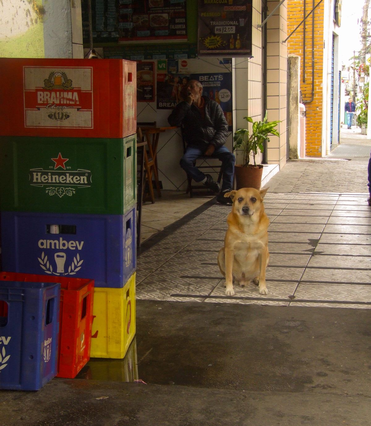 Rio de Janeiro 9